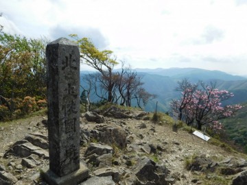 篠山山頂