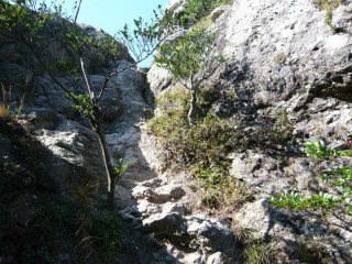 洲藻白嶽登山道